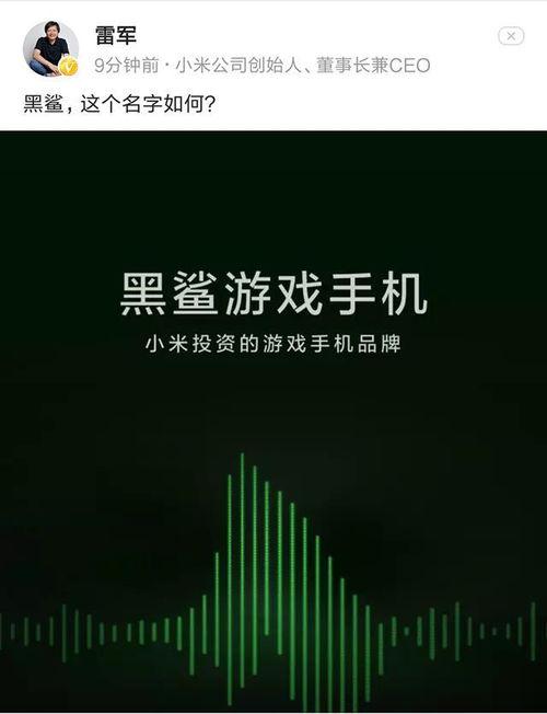 雷军爆料新手机最新消息,全新旗舰手机即将亮相,颠覆性技术引领行业潮流!” 第2张 雷军爆料新手机最新消息,全新旗舰手机即将亮相,颠覆性技术引领行业潮流!” 第2张