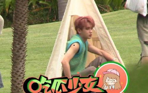 小寒娱乐圈爆料视频最新,独家揭秘明星幕后故事  第2张